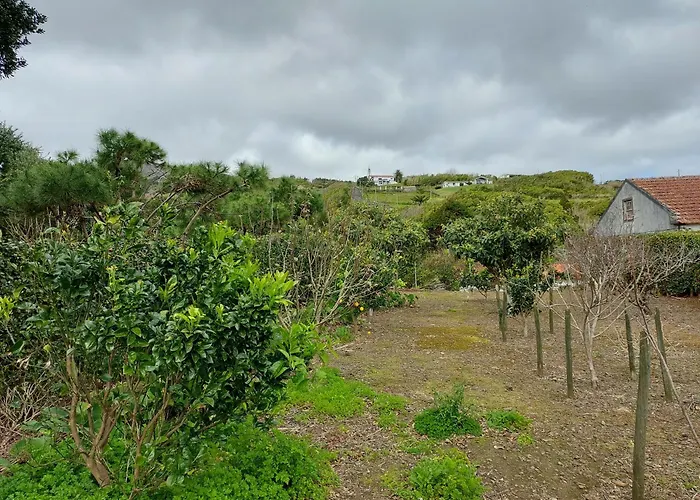 Διαμέρισμα Retiro Camelias 2 Lajes das Flores