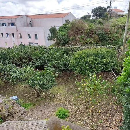 Retiro Camelias 2 * Lajes das Flores