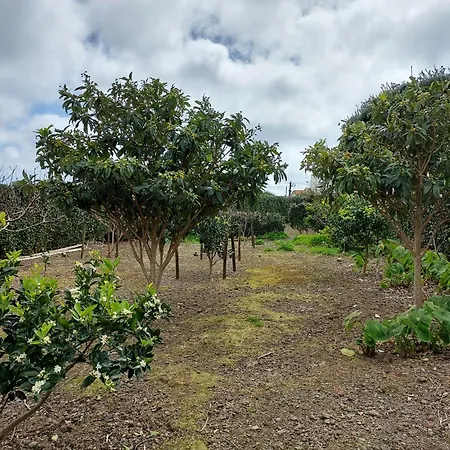 Retiro Camelias 2 Lajes das Flores