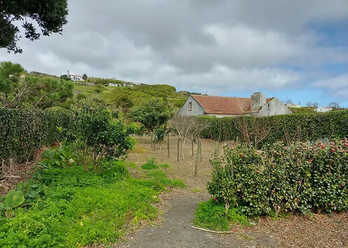 Apartament Retiro Camelias 2 *