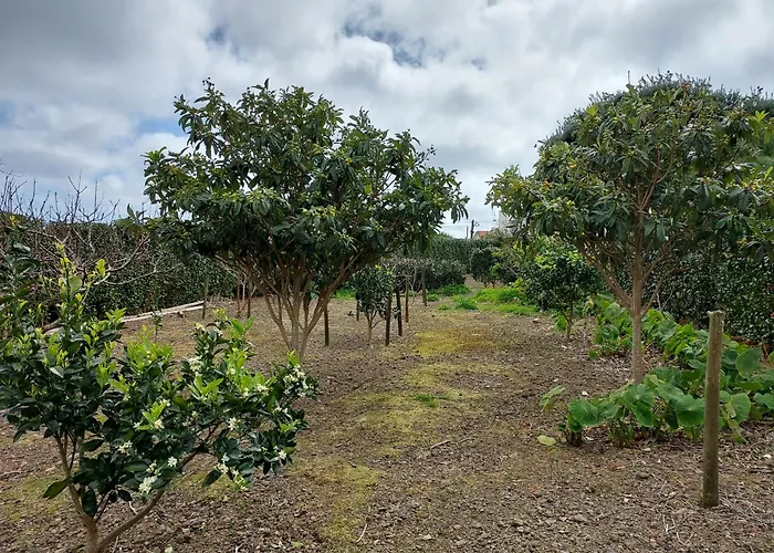 Retiro Camélias 2 Lajes das Flores